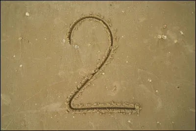 Comment appelle-t-on une fonction dont la courbe est symétrique par rapport à l'axe vertical ?