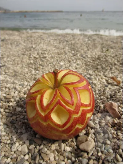 Quelle est l'unité de la force dans le S.I ?