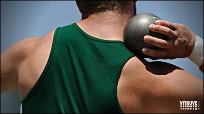 Quel est le sport représenté ci-dessus ?