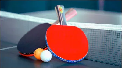 Quel est le sport représenté ci-dessus ?