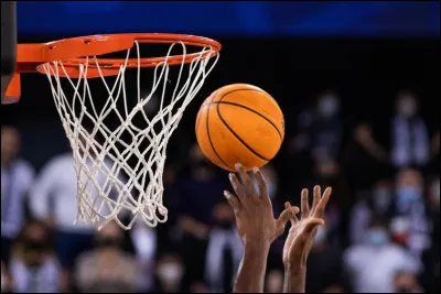 Quel est le sport représenté ci-dessus ?