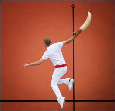 Quel est le sport représenté ci-dessus ?