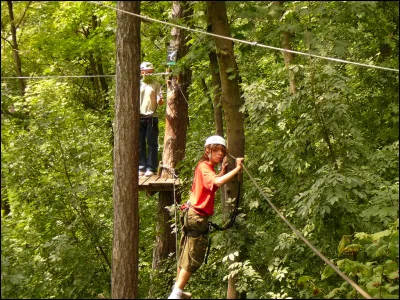 Quel est le sport représenté ci-dessus ?