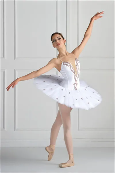 Quel est le sport représenté ci-dessus ?