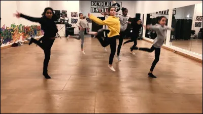 Quel est le sport représenté ci-dessus ?