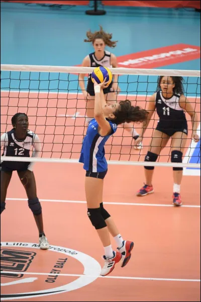 Quel est le sport représenté ci-dessus ?