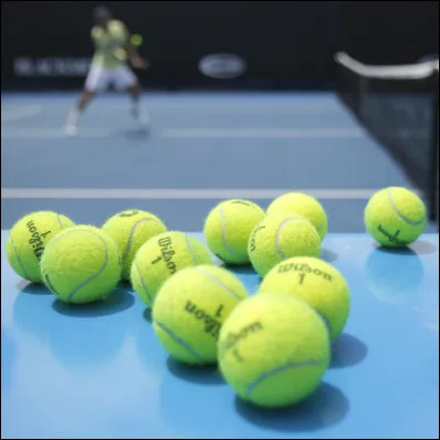 Quel est le sport représenté ci-dessus ?