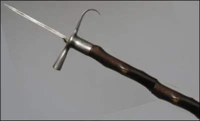 Quel est le nom de cette arme de jet, formée d'une pointe en fer portée par une hampe en bois ?