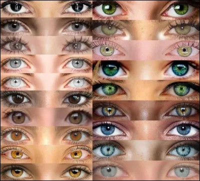 Quelle est la couleur de tes yeux ?