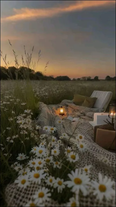 Quel climat préfères-tu ?