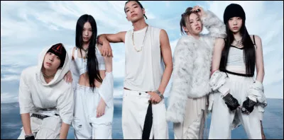 Si tu étais dans un groupe, tu serais...