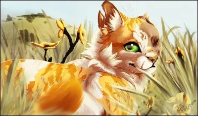 Qui l'a d&eacute;figur&eacute;e ?