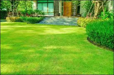 Km 30,2 : Nailloux. Quel grand joueur de rugby est propriétaire du restaurant, le Club 15, centré sur le thème du rugby ?