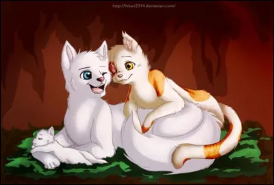 Dans quel livre se passe la naissance d'Aile Blanche ?