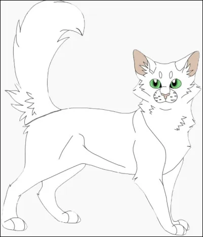 Quel est le nom anglais d'Aile Blanche ?