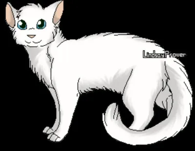 Qui est son premier apprenti ?