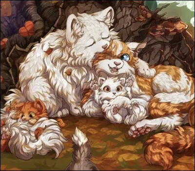 Qui sont ses frères et surs d'une autre portée ?