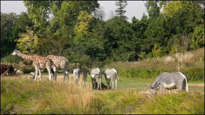 Quelle ville nous offre l'opportunité de flâner dans le parc de la Tête d'or dont le jardin botanique vous émerveillera ainsi que son superbe zoo ?
