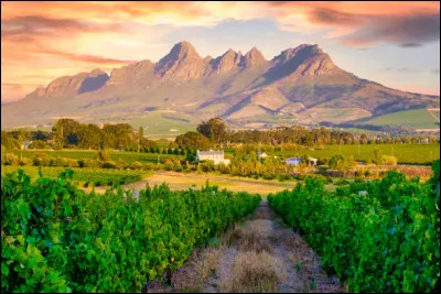 Dans quel pays la région montagneuse viticole de Stellenbosch est-elle située ?