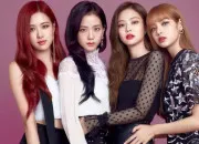 Quiz Blackpink in your area !