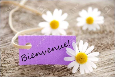 Salut et bienvenue sur mon test. 
Quelle est ta Winx préférée ?