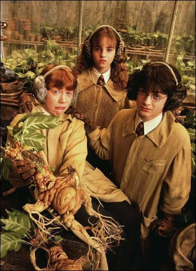 Quelle philosophie te parle le plus ?