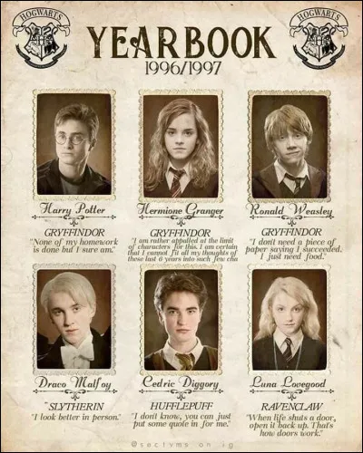 Quel genre de sorcier serais-tu dans lunivers de ''Harry Potter'' ?