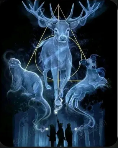 Quel animal tattire le plus ?