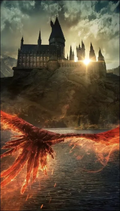 Quelle saison préfères-tu ?