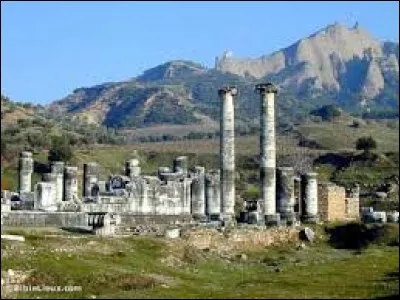 La Lydie était un ancien pays d'Asie Mineure, situé près de la mer Égée, dont la capitale était Sardes. Dans quel état se trouvent aujourd'hui les ruines de cette ancienne ville ?