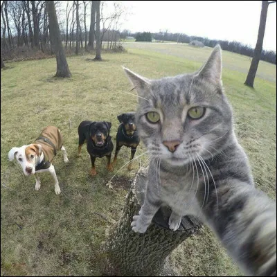 Ta journée de rêve serait...