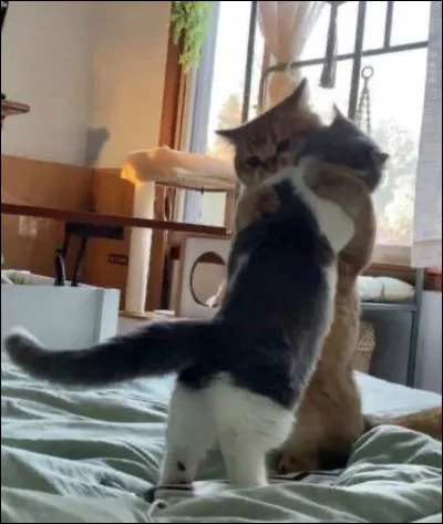 Ton ou ta meilleur(e) ami(e) vient de se faire larguer :