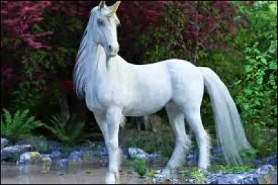 Quel est cet animal ?