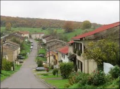 Ancienne commune de Lorraine, dans l'ancien arrondissement de Boulay-Moselle, Saint-Bernard se situe dans le département ...