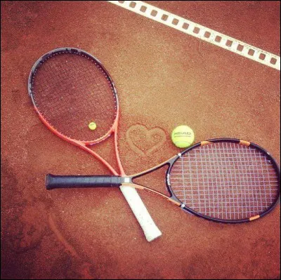 Quelle joueuse est la seule Française à avoir été numéro 1 mondiale ?