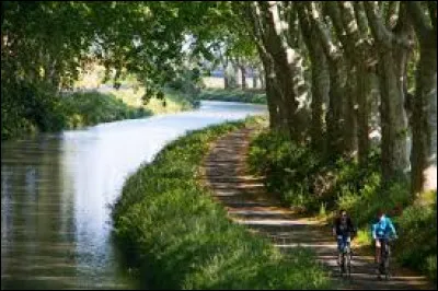 Béziers : Les allées Paul Riquet forment une vaste esplanade longue de 600 mètres et sont le cur de la ville. En leur centre trône la statue de Paul Riquet, qui était-il ?