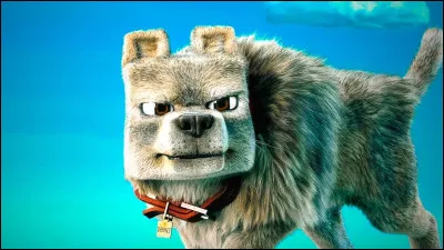 Comment s'appelle le loup (oui, le loup) de Steve ?