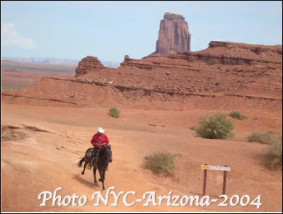 Quel est le nom de ce peuple autochtone d'Amérique du Nord vivant sur la plus grande réserve amérindienne (71 000 km2) ?