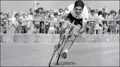 Eddy Merckx, pourtant brillant dans les contre-la-montre avec 13 victoires dans le Tour de France, ne s'est engag&eacute; dans le Grand Prix des Nations qu'&agrave; la fin de sa carri&egrave;re : il l'emporte en dominant Ocana -2e, Zoetemelk (qu'il rejoint sur l'image) -3e et Th&eacute;venet 4e : c'&eacute;tait en ...