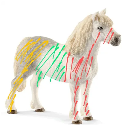 Comment s'appelle la partie arrière du cheval (partie jaune) ?