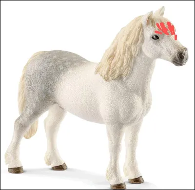 Comment s'appelle la partie entourée en rouge ?