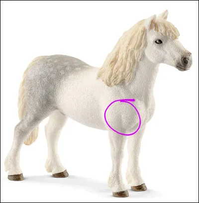 Quelle est la partie entourée en violet ?