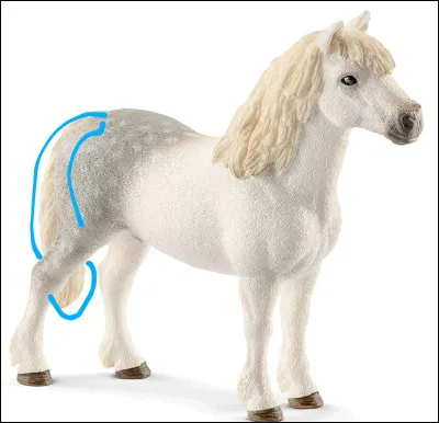 Comment s'appelle la partie en bleu ?