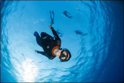 Qu'est-ce que vous aimeriez faire ?