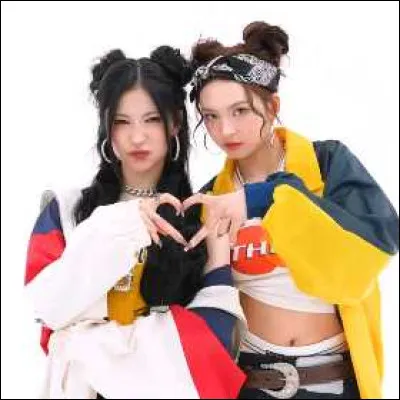 Quel groupe masculin de YG &eacute;tait aussi pr&eacute;sent au concert ?