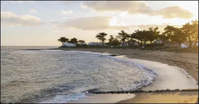 Comment était la plage dans la chanson de Brigitte Bardot intitulée "La Madrague" ?