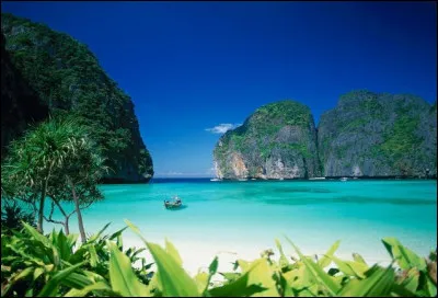 Dans lequel de ces films sorti en 2000, rencontre-t-on l'acteur Leonardo DiCaprio ?