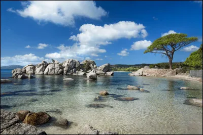Voici la plage de Palombaggia. O&ugrave; pourrez-vous profiter du sable blanc de cette plage sublime bord&eacute;e de roches rouges ?