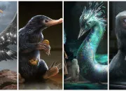 Test Sorcire, humaine, vampire, sirne ou loup-garou ?