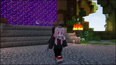 Qui est ton youtubeur préféré ?